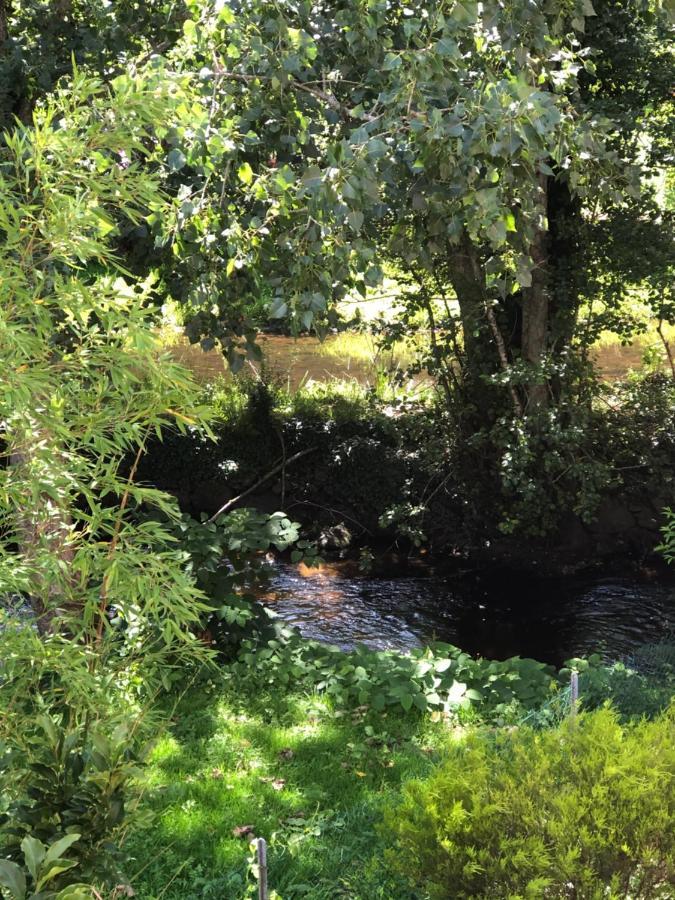 Appartement 2 Pieces Vue Sur La Riviere De L'Aven Et Le Bois D Amour Pont-Aven Exteriör bild